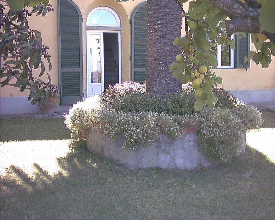 B&B Villa Panicucci 리보르노 객실 사진